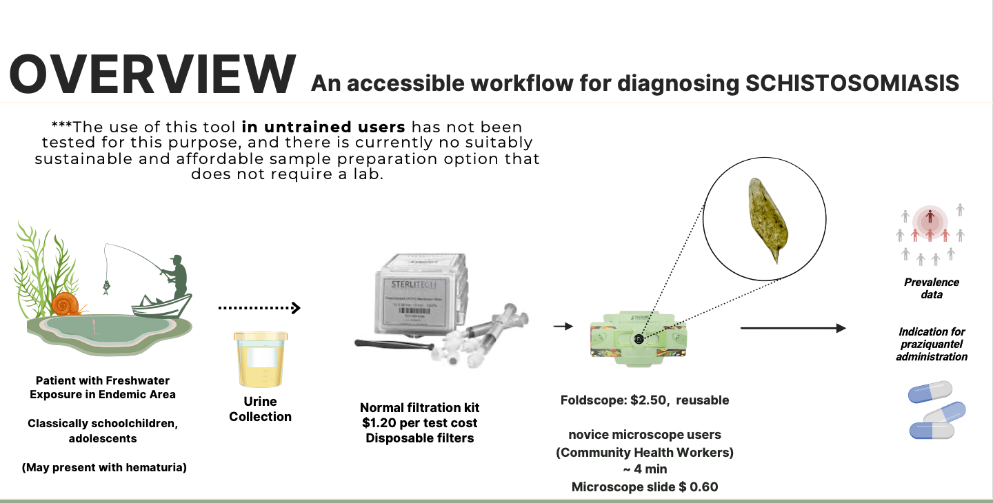 Workflow diagram: patient with freshwater exposure, urine collection, normal filtration kit, Foldscope reading by novice users, prevalence data and treatment