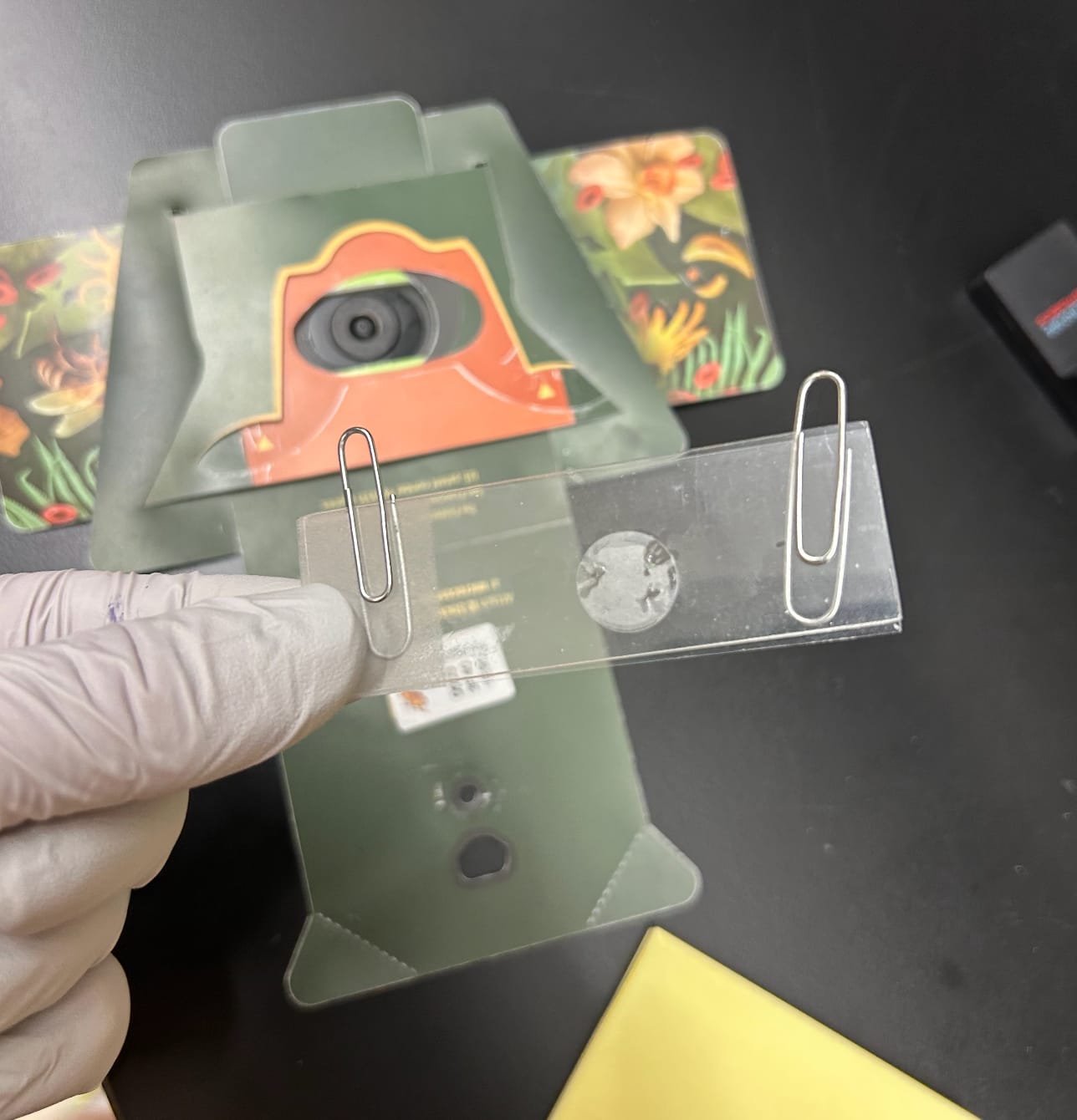 A gloved hand holds a Foldscope slide with an acrylic coverslip clipped on by two paperclips