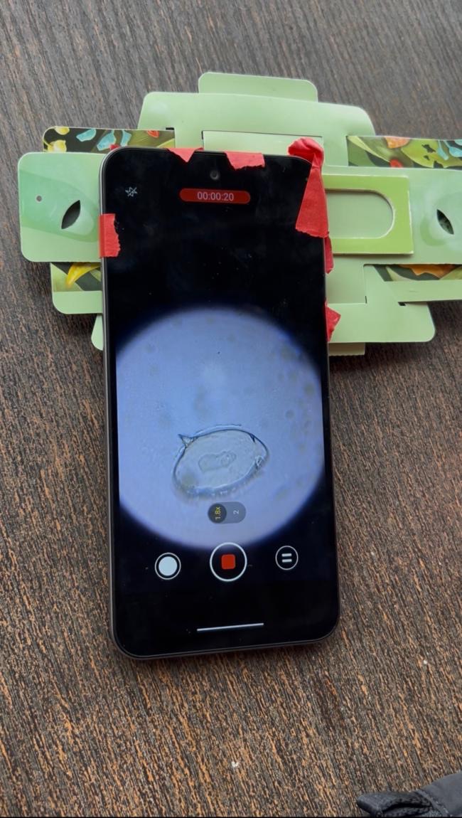 Parasitic eggs imaged through the Foldscope on a Tecno phone