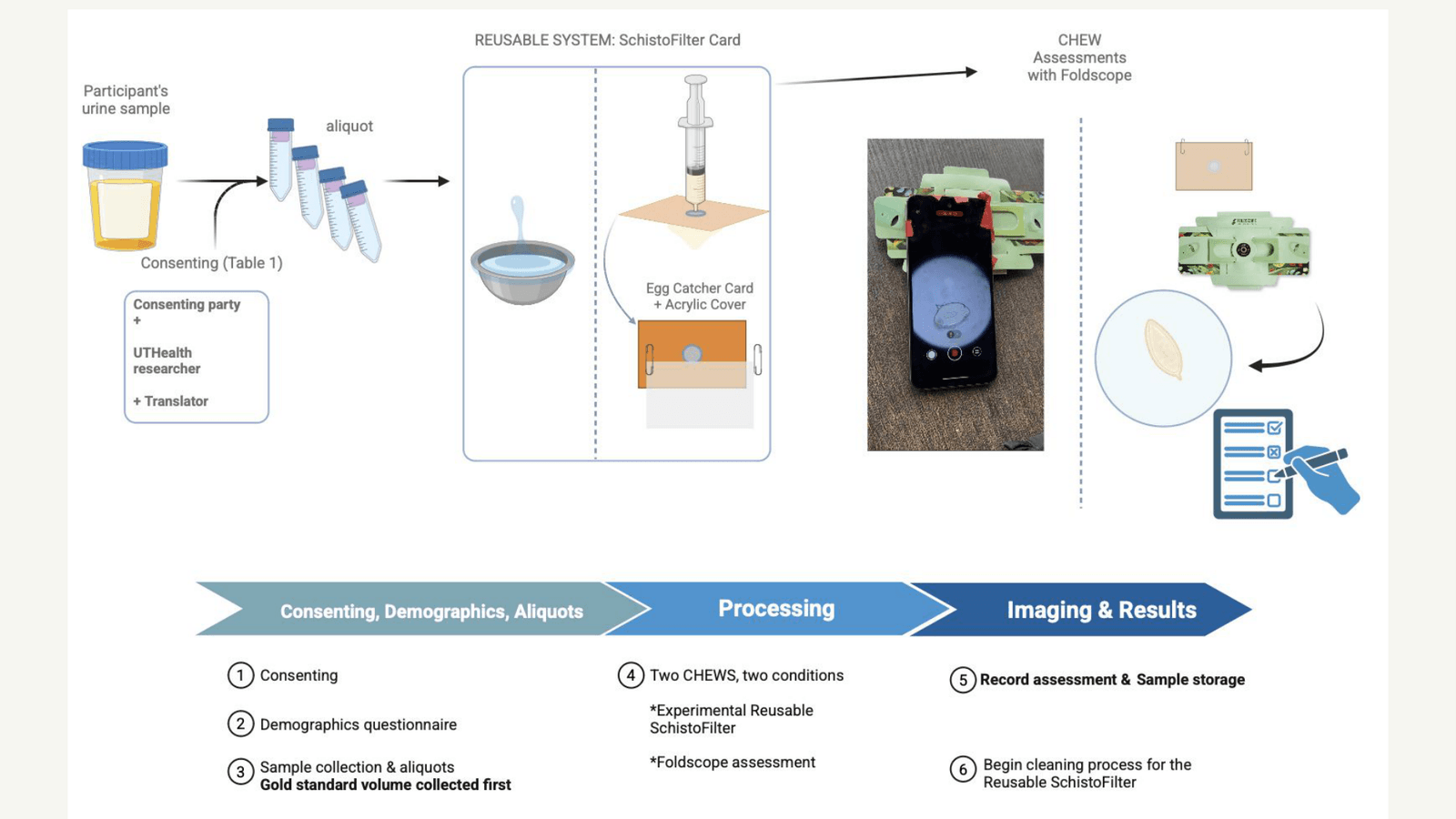 Workflow diagram: consent and aliquots, processing with the reusable SchistoFilter card, then CHEW assessment with the Foldscope and recording results