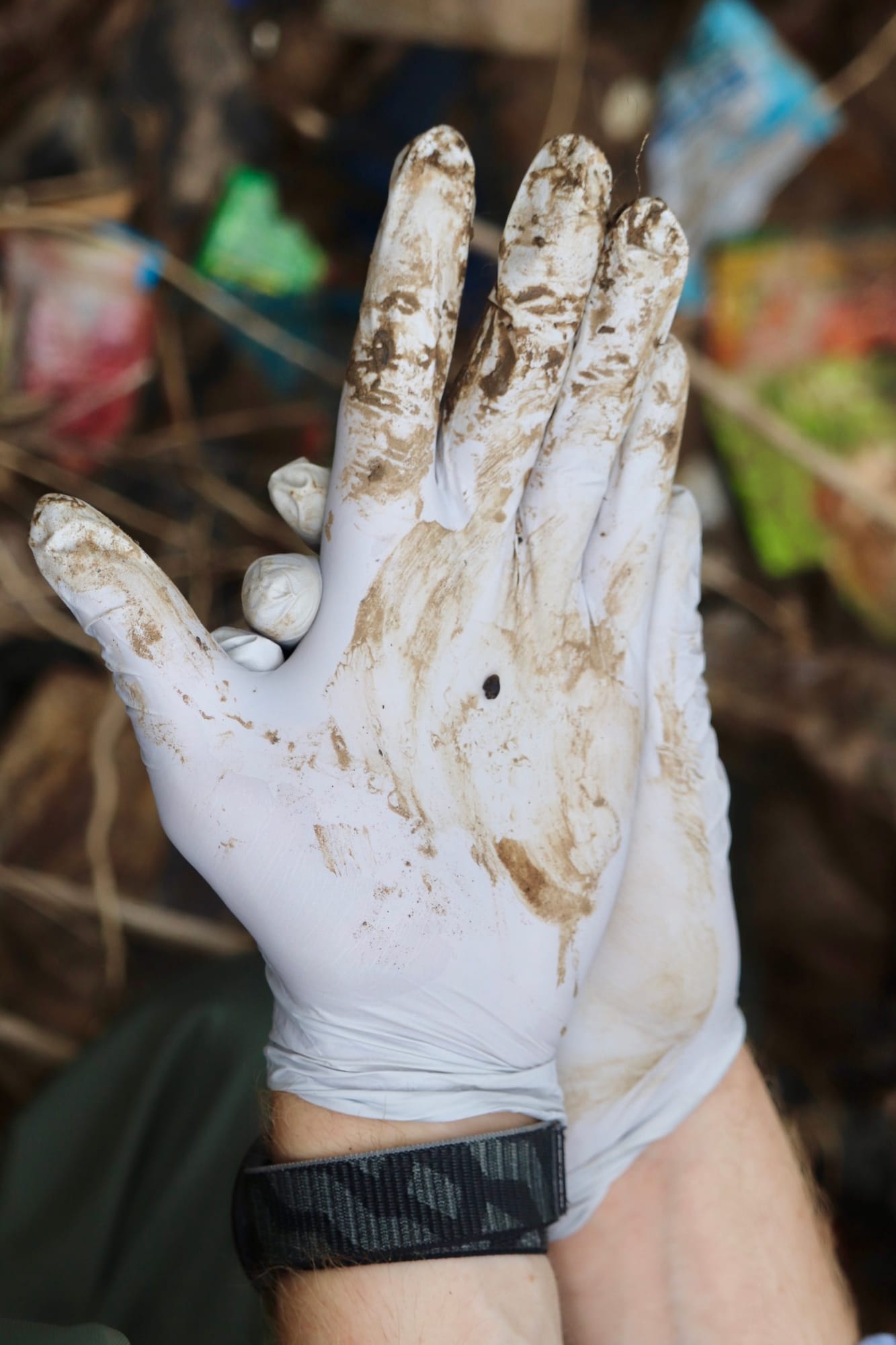 A small Bulinus snail sits on a muddy gloved palm, with colorful trash blurred in the background