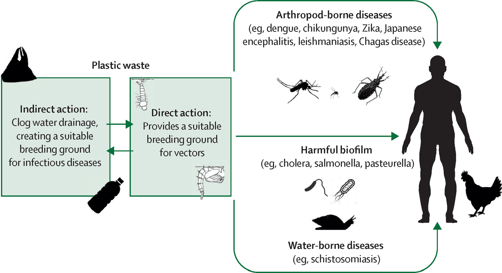 Diagram: plastic waste acts indirectly by clogging drainage and creating breeding grounds, and directly as habitat for vectors, harmful biofilm, and water-borne diseases such as schistosomiasis