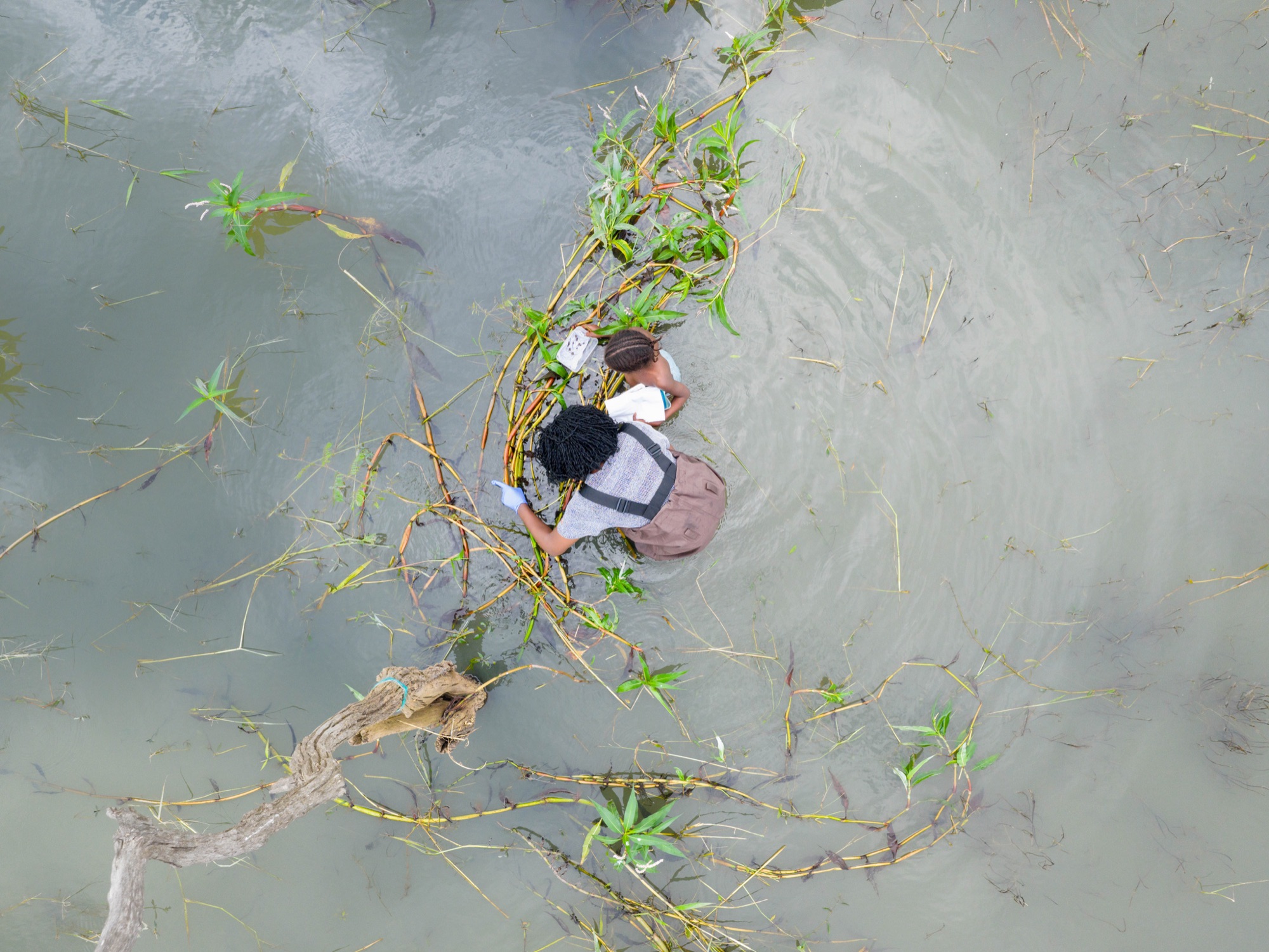Researchers sampling water in the field